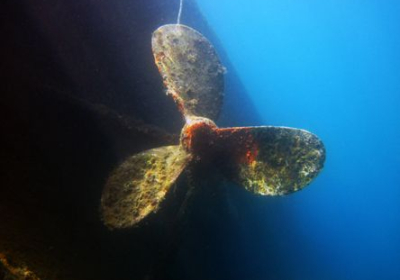 Agenzia/operatore Turistico Taormina Diving Center